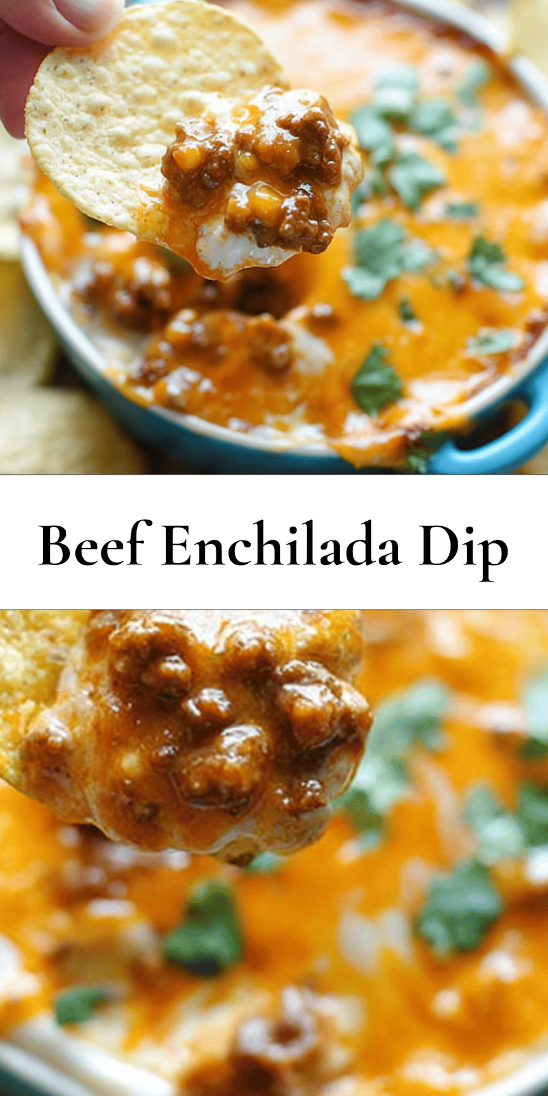 Beef Enchilada Dip
